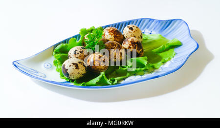 Wachteleier Stockfoto