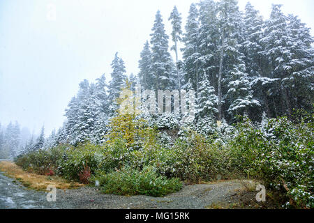 Joffre Lakes Provincial Park, BC, Kanada Stockfoto