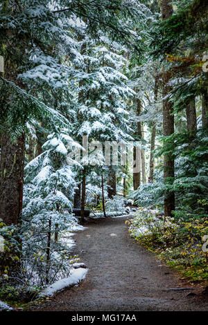 Joffre Lakes Provincial Park, BC, Kanada Stockfoto