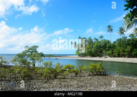 Mangrovenwälder, die von einer Flussmündung in den feuchten Tropen am Cape Tribulation, Daintree National Park, Far North Queensland, FNQ, QLD, Australien Stockfoto