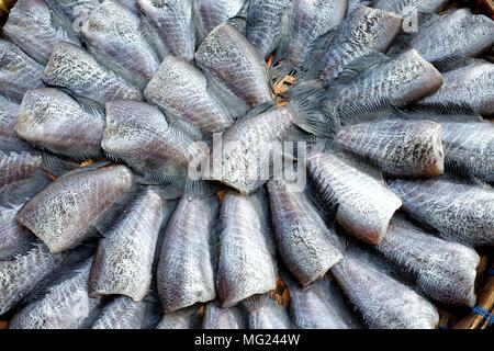 Fische, getrocknet, gesalzen Dirne. Stockfoto