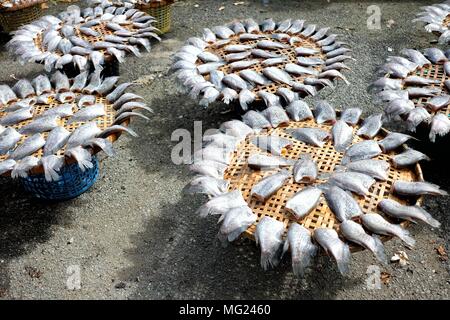 Getrocknet gesalzen Dirne Fische. Stockfoto