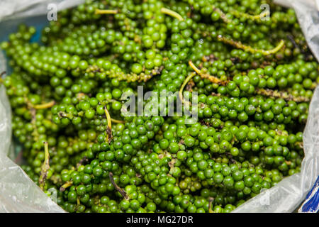 Grünbuch und Kräutern auf den Zähler, der lokale Markt in Thailand Stockfoto