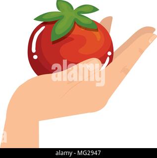 Hand lifting Tomaten Gemüse gesunde Ernährung Vector Illustration Design Stock Vektor