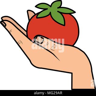 Hand lifting Tomaten Gemüse gesunde Ernährung Vector Illustration Design Stock Vektor