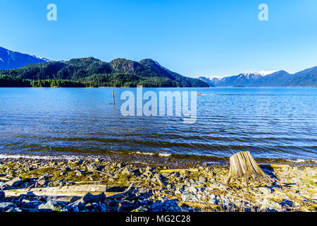 Treibholz an der Küste von Pitt See mit den schneebedeckten Gipfeln des Goldenen Ohren und andere Gipfel in der Coast Mountain Range in Britisch-Kolumbien Stockfoto