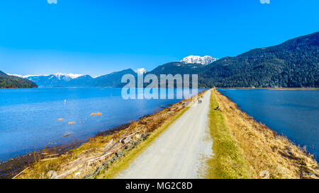 Der Deich trennt Pitt See und Pitt-Addington Sumpf durch die schneebedeckten Gipfel der Coast Mountain von British Columbia umgeben Stockfoto