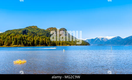 Fischerboot auf Pitt See mit den schneebedeckten Gipfeln des Goldenen Ohren gellen Peak und anderen Küste Berggipfel in British Columbia, Kanada Stockfoto