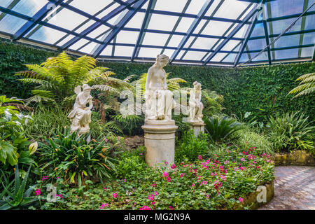 Üppig grüne Anlage Sammlung an der Fernery von Machattie Park Bathurst, einem wunderschönen viktorianischen Landhaus aus dem 19. Jahrhundert Park, Central Tablelands, New South Wal Stockfoto