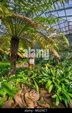 Üppig grüne Anlage Sammlung an der Fernery von Machattie Park Bathurst, einem wunderschönen viktorianischen Landhaus aus dem 19. Jahrhundert Park, Central Tablelands, New South Wal Stockfoto