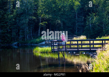 Eine Frau beobachten Vögel und andere Wildtiere am langen Teich in Benton, NH, USA, Wildlife Management Area. Stockfoto