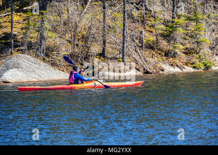 Kajakfahren auf Beaver Teich an Löser Kerbe neben Rt. 112, Kancamagus Highway, in den White Mountains von New Hampshire in Woodstock. Stockfoto
