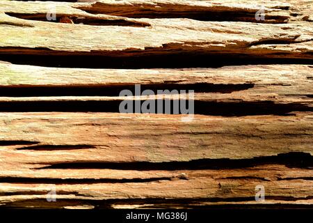 Holz Textur mit Lichtstrahl Hintergrund. Stockfoto