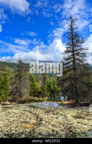 Jackman Wohnungen Provincial Park, BC, Kanada Stockfoto