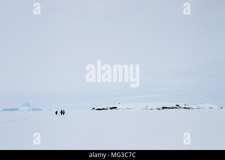 Inuitn guides tracking Eisbären auf dem gefrorenen Fjorden von Baffin Island, Nunavut, Arktis, Kanada Stockfoto