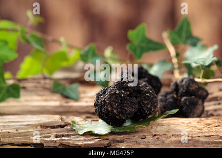 Schwarze Trüffeln und Blätter auf alten Holztisch. Stockfoto