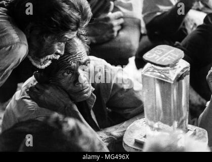 Fighting fish Betta splendens, Umgebung von Bangkok, Thailand, 70 s Stockfoto