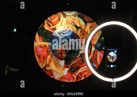 Die Kehrseite der VIP-PRIVATE VIEW, 26. April 2018 Stockfoto