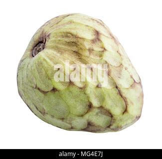 Frisches Grün cherimoya (Zucker apple) auf weißem Hintergrund mit Schatten isoliert. Freistellungspfaden. Stockfoto