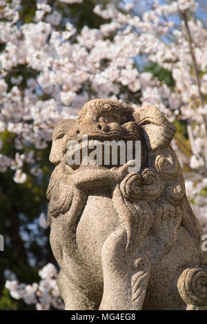 Cherry Blossom und Lion Statue an ikuta Jinja Schrein, Kobe, Kansai, Japan Stockfoto