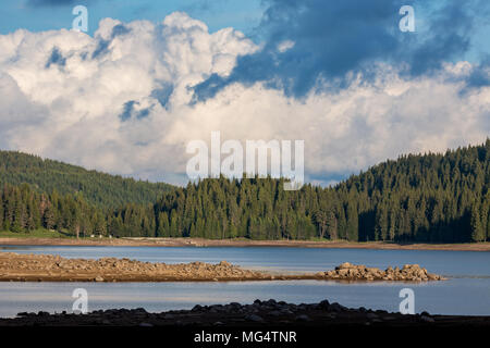 Landschaft sonnige See Landschaft von Shiroka Poljana, Rhodopen Gebirge, Bulgarien mit geschwollenen Wolken, Kiefernwald und braunen Steinen am Ufer Stockfoto