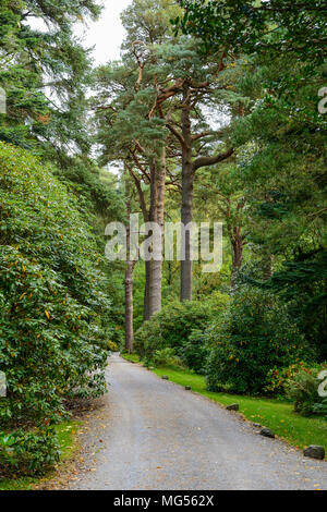 Mirehouse Gärten in der Nähe von Keswick im Lake District, Cumbria, England Stockfoto