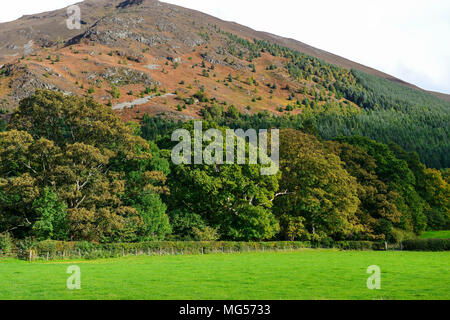 Mirehouse Gärten in der Nähe von Keswick im Lake District, Cumbria, England Stockfoto