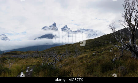 Cerro Paine Grande und Berge inmitten der Wolken. Panorama. Weite Einstellung. Stockfoto