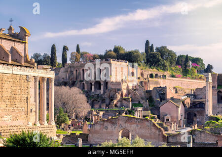 Forum Romanum bei Sonnenuntergang in Rom, Italien. Stockfoto