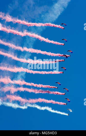 Falken Fallschirm Freifall Team Stockfoto