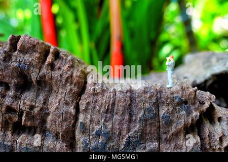 Miniatur Abbildung Fotograf mit Green Park Hintergrund. Stockfoto