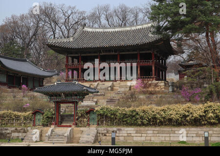 Die Juhamnu Pavillon in der geheime Garten oder huwon der Changdeokgung Palast in Seoul, Südkorea, war ein Liebling der königlichen Familie, hatte Bibliothek. Stockfoto