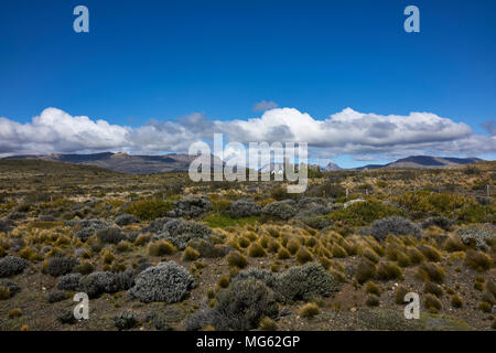 Patagonische steppen Panorama im Sommer. Einen strahlend blauen Himmel über. Horizont über Land. Abnehmende Perspektive. Stockfoto