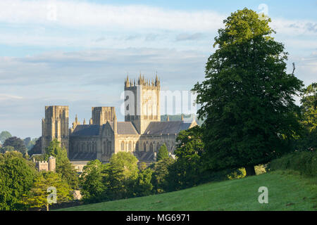 Im Osten Angesichts der Wells Cathedral, Somerset, an einem sonnigen Sommermorgen. Stockfoto