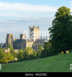 Im Osten Angesichts der Wells Cathedral, Somerset, an einem sonnigen Sommermorgen. Stockfoto