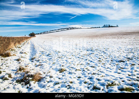 Ein wintermorgen auf der Tiefen in Wiltshire. Stockfoto