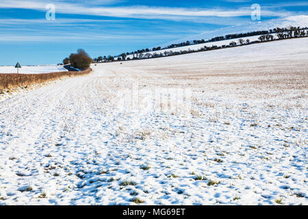 Ein wintermorgen auf der Tiefen in Wiltshire. Stockfoto