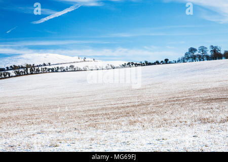 Ein wintermorgen auf der Tiefen in Wiltshire. Stockfoto