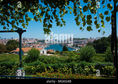 Blick auf den Fluss Douro in Porto aus einem Hafen Haus Stockfoto