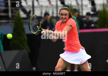 Minsk, Weißrussland. 21. April 2018. Aliaksandra Sasnovich (BLR) während einer FedCup gegen Jana Cepelova (SVK) an Chizhovka Arena in Minsk, Belarus gespielt wird Stockfoto