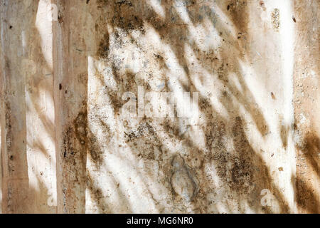 Schwarz und Weiß abstrakt Hintergrund textuer der Schatten Lamelle auf einer Betonwand. Stockfoto