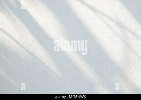 Schwarz und Weiß abstrakt Hintergrund textuer der Schatten Lamelle auf einer Betonwand. Stockfoto