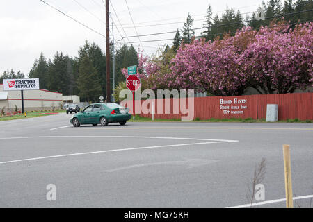 Shelton, Washington, USA, 27. April 2018. Mason County Sheriff reagieren auf die Szene, wo ein Mann eine Process Server erstochen. Dies erfolgte, nachdem der Mann verhaftet und in das Krankenhaus witha Dog Bite Wunde genommen. Es scheint, dass die Polizei die Anhänger mit ihren SWAT Fahrzeug rammte. Hidden Haven Mobile Home Park Szene der Weg heute im Mason County. (Shawna Whelan) Credit: Shawna Whelan/Alamy leben Nachrichten Stockfoto