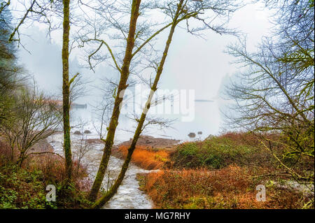 East Fork des Lewis River im Clark County, Washington, mit einem leichten Abstauben des Schnees an einem frostigen Wintermorgen Stockfoto