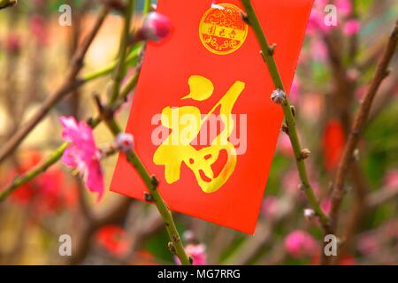 Cherry Blossom Bäume mit Lai Siehe rote Umschläge, die für das chinesische Neujahr, Hongkong, China, Südostasien Stockfoto