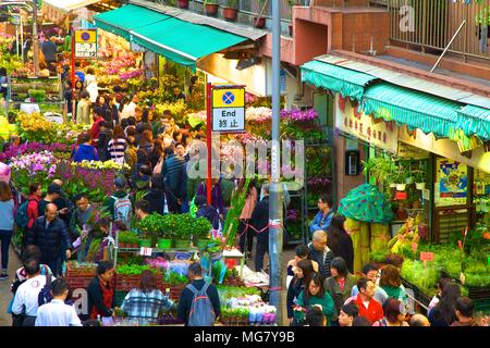 Das chinesische Neujahr Blumenmarkt, Hongkong, China, Südostasien Stockfoto