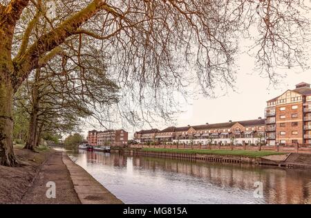 Pfad entlang des Flusses Ouse in York. Bäume in der Knospe Überhang und zwei Hausboote sind weiter den Fluss hinunter. Stockfoto