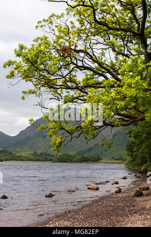 Sie suchen den Kirkstone Pass von Brüder Wasser, Lake District, Cumbria, England, Großbritannien Stockfoto