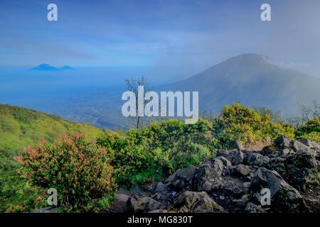 Mount Merbabu (Indonesisch: Gunung Merbabu) ist ein schlafendes Stratovulkan in Zentral-java Provinz auf der indonesischen Insel Java. Stockfoto