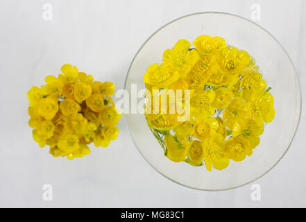 Buttercup Cups Stockfoto